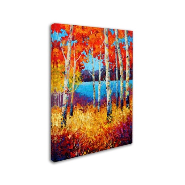 Marion Rose 'Summers End II' Canvas Art,24x32